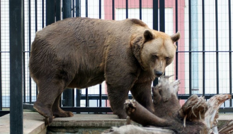 Hotel Podhrad Hluboká nad Vltavou